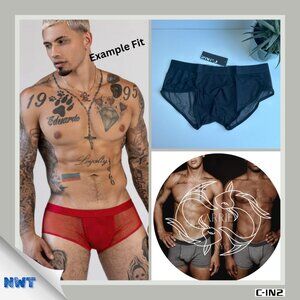 C-IN2 - Sheer - Hipster Brief - Black (M)